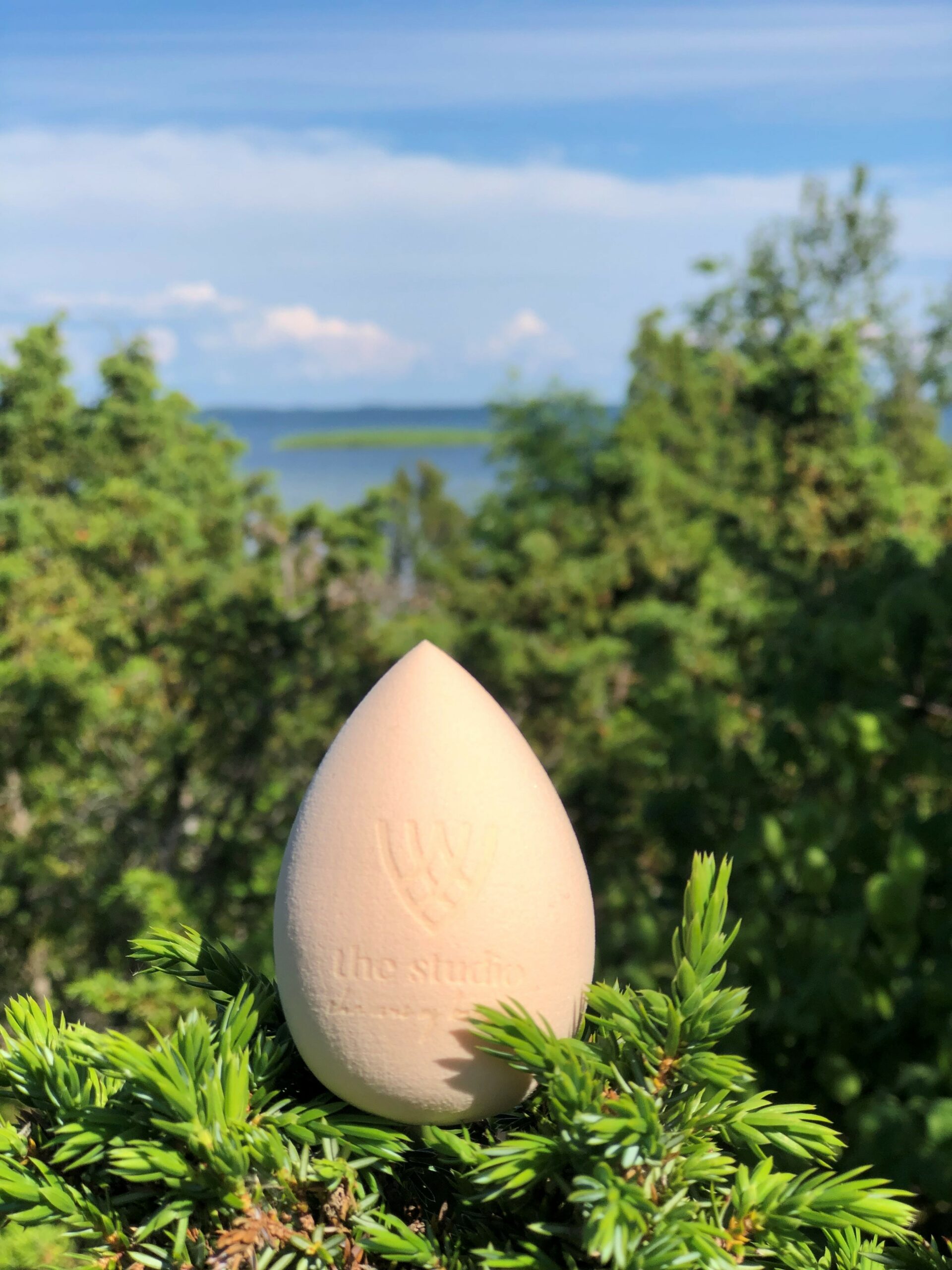 THE STUDIO MEIGISVAMM