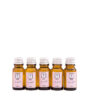 Kehaõli komplekt 5x10ml Angelina Balm - Image 2
